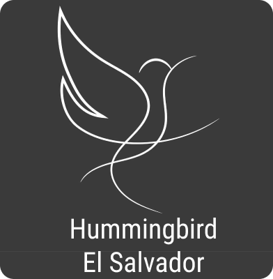 Hummingbird
