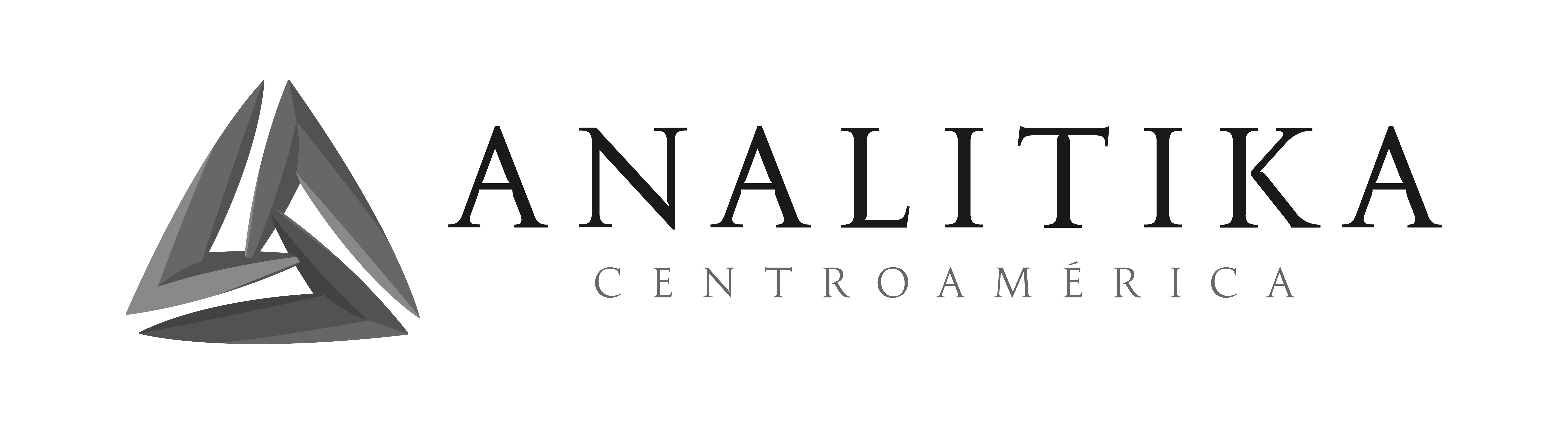 LOGO-ANALITIKA_PNG-03